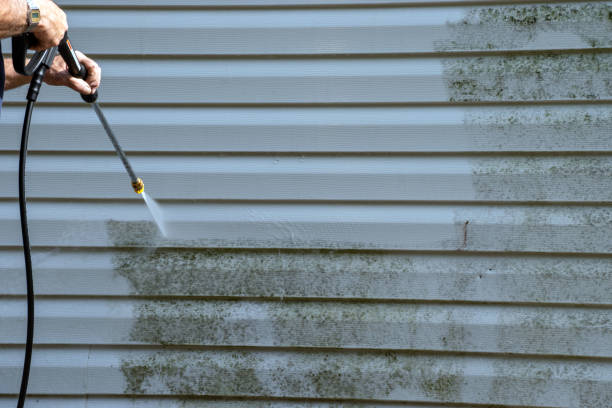 Best Demolition Debris Removal  in Tamarac, FL