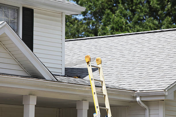 Best Shed Removal  in Tamarac, FL